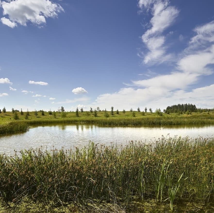 Peak 61 Graydon Hill may offer opportunities for socializing with neighbors through community events, clubs, or recreational activities